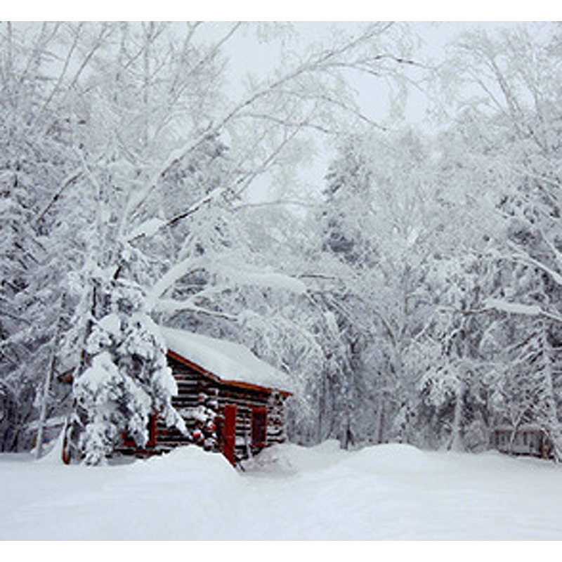 Amino Acid Fertilizer Manufacturer - Chitosan Chitin Liquid for Fruit Vegetable