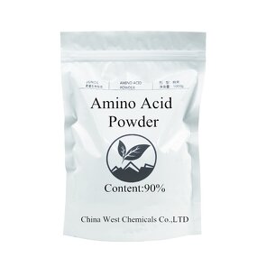 Amino Acid Fertilizer Manufacturer - 90% Water Soluble Powder for Flowers Fruit