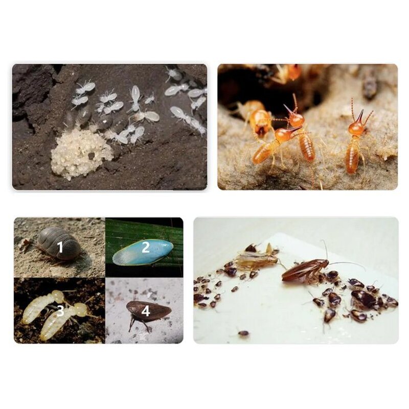 Imidacloprid Manufacturer - 10% SC Termite Medicine Soil Treatment