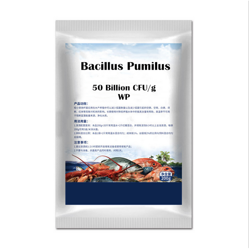 Bacillus Pumilus Manufacturer - 50 Billion for Aquaculture Sewage Treatment