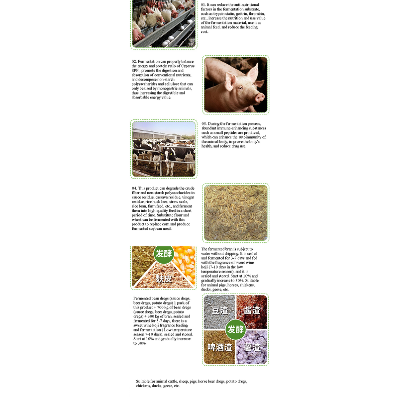 Feed Additive Manufacturer - EM Bacterial Starter Culture for Chicken Breeding