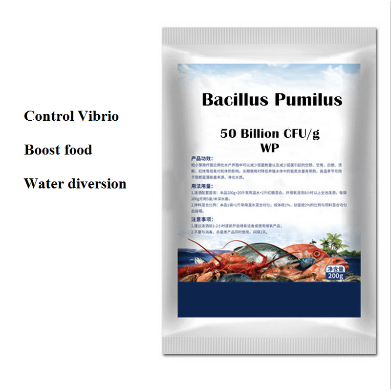 Bacillus Pumilus Manufacturer - 50 Billion for Aquaculture Sewage Treatment