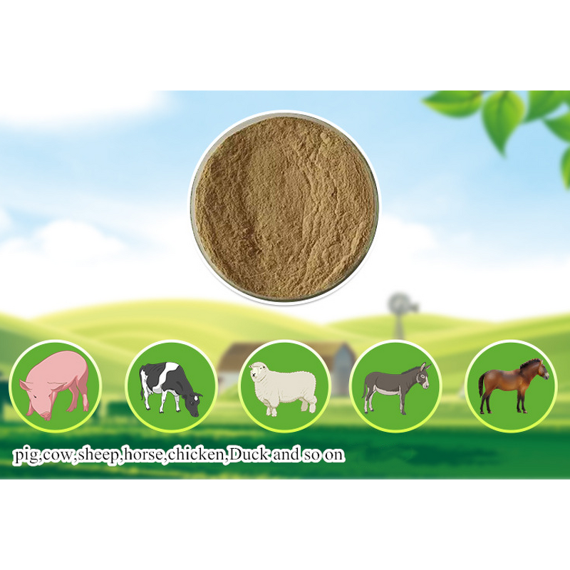 Feed Additive Manufacturer - EM Bacterial Starter Culture for Chicken Breeding
