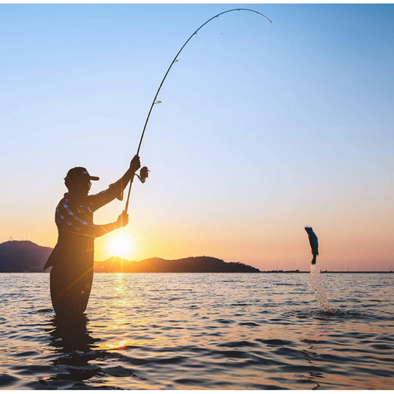 DMPT Powder Manufacturer - 99% Fish Attractant Feed Additive for Aquaculture