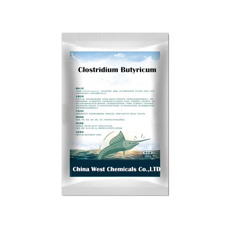 Clostridium Butyricum Manufacturer - for Aquaculture Water Quality Improvement