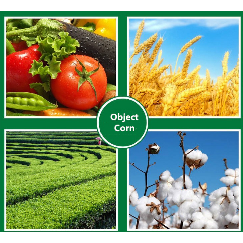 Trichlorfon Manufacturer - 90%-97% TC Soil Insect Pesticide for Vegetables