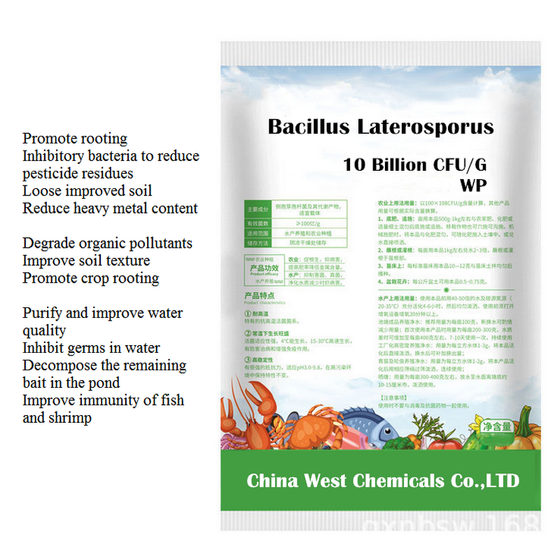 Bacillus Laterosporus Manufacturer - 10 Billion for Soil Quality & Plant Root