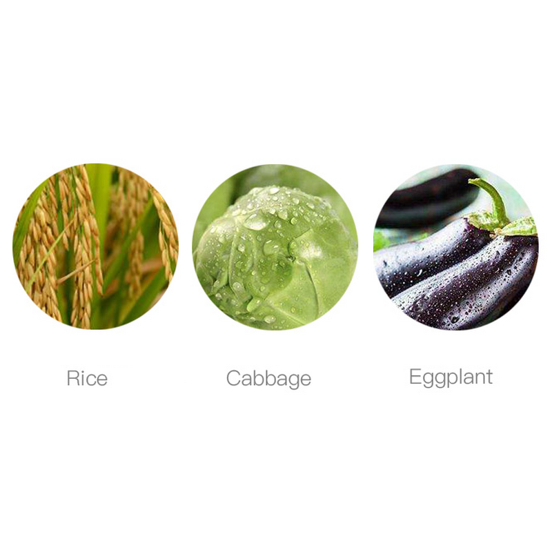 Pyraclostrobin Metiram Manufacturer - 60% WG Fungicide for Cucumber Grape