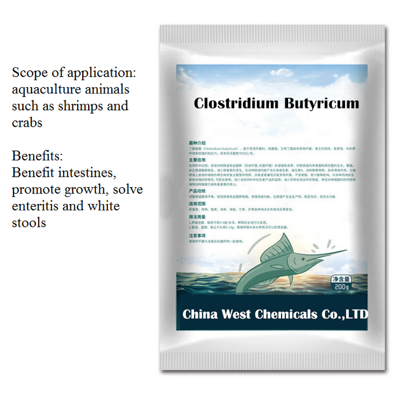 Clostridium Butyricum Manufacturer - for Aquaculture Water Quality Improvement