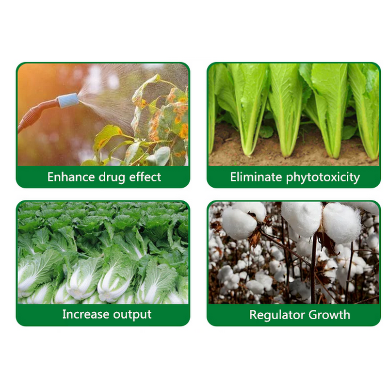 DA-6 Powder Factory - Diethyl Aminoethyl Hexanoate 98% TC Plant Regulator