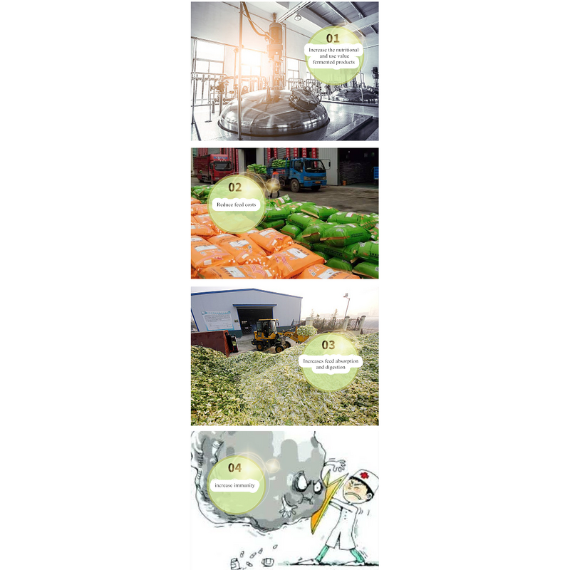 Feed Additive Manufacturer - EM Bacterial Starter Culture for Chicken Breeding