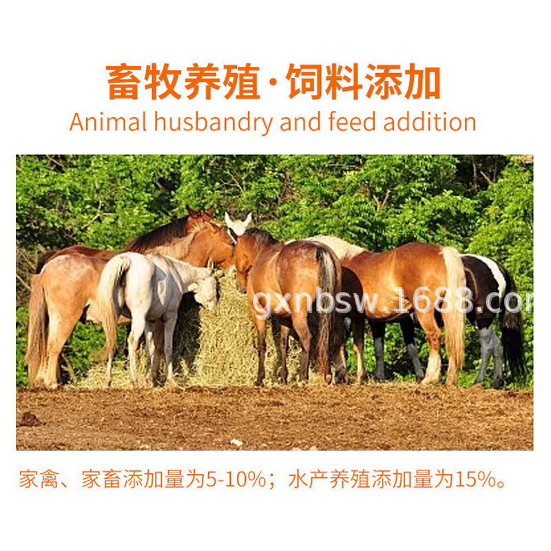 Amino Acid Fertilizer Manufacturer - 90% Water Soluble Powder for Flowers Fruit