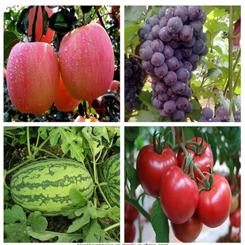 Sodium Nitrophenolate Manufacturer - Atonik 98% TC Plant Growth Regulator