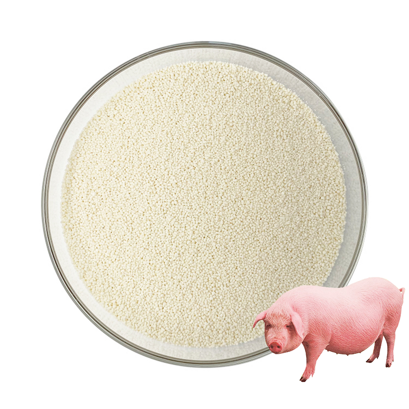 Phytase Manufacturer - 10000 U/G Feed Enzyme Additive Powder Granular