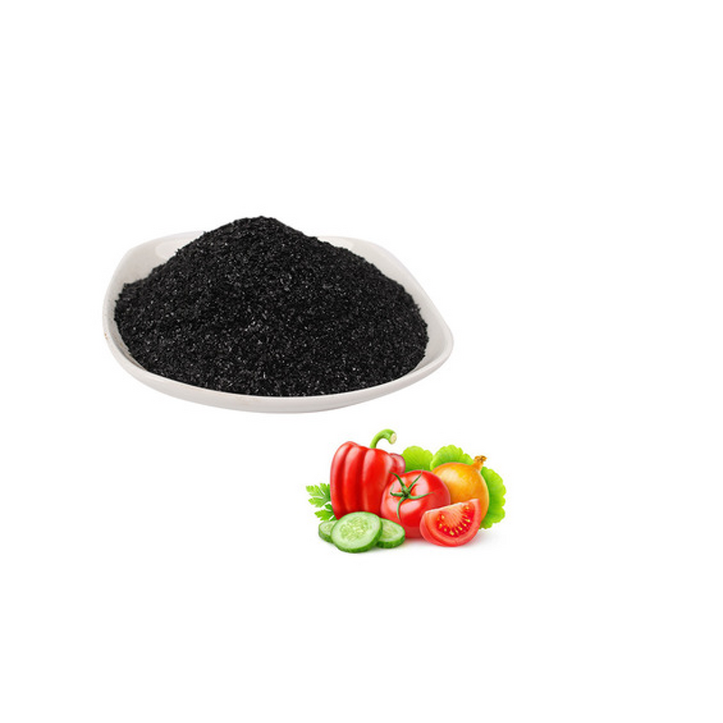 Seaweed Extract Manufacturer - 24%-40% Alginic Acid Plant Growth Regulator