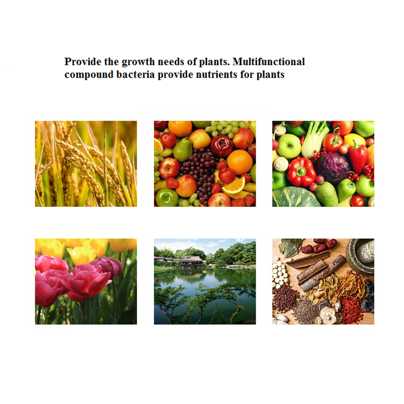 Organic Fertilizer Manufacturer - Manure Maturity BIO Fermentation Strains