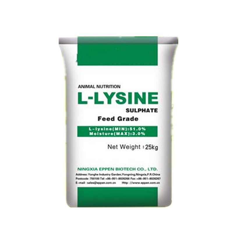 L-Lysine Manufacturer - 98.5% HCL Animal Feed Additive for Livestock