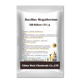 Bacillus Megaterium Manufacturer - Additive to Improve Soil Quality