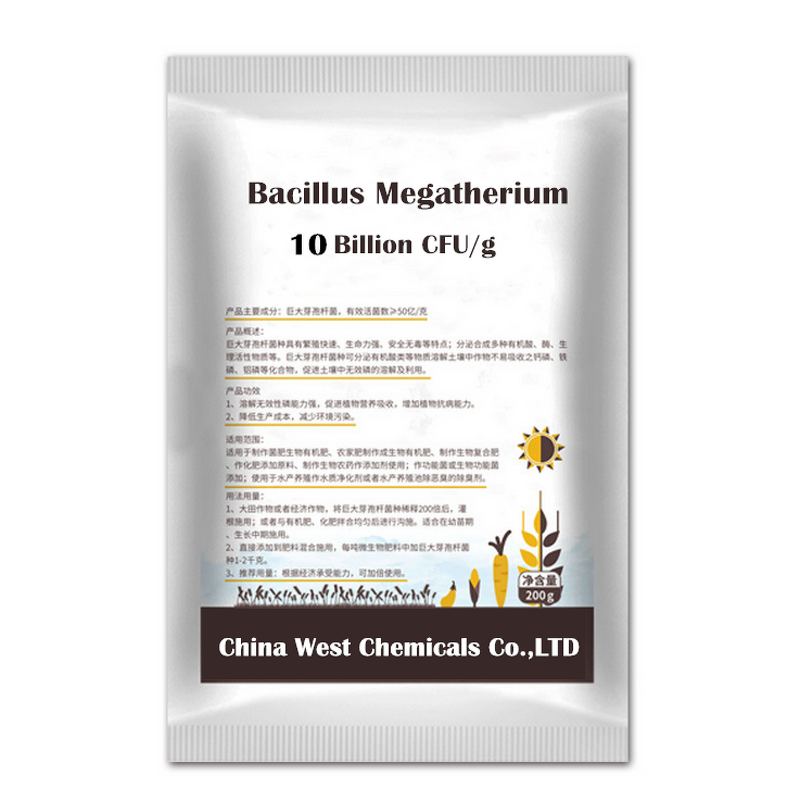 Bacillus Megaterium Manufacturer - Additive to Improve Soil Quality