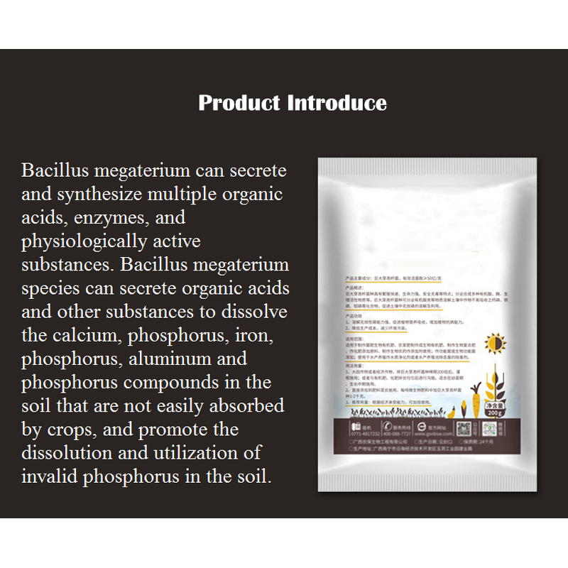 Bacillus Megaterium Manufacturer - Additive to Improve Soil Quality