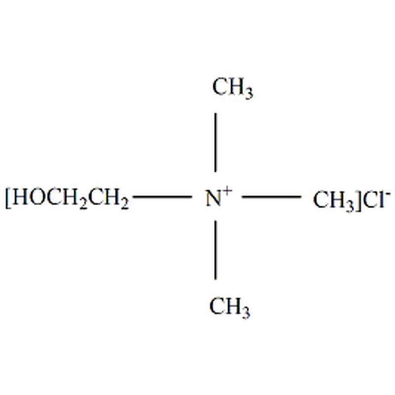 Choline Chloride Manufacturer - Feed Grade 50% 60% 25kg Bags