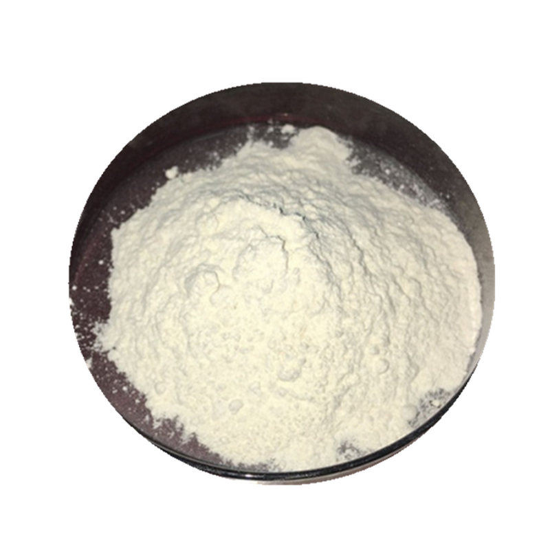 Bacillus Laterosporus Manufacturer - 10 Billion for Soil Quality & Plant Root