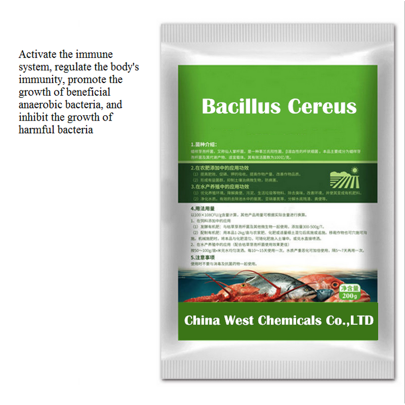 Aquaculture Probiotics Manufacturer - Bacillus Cereus 20 Billion CFU/G Feed Additive