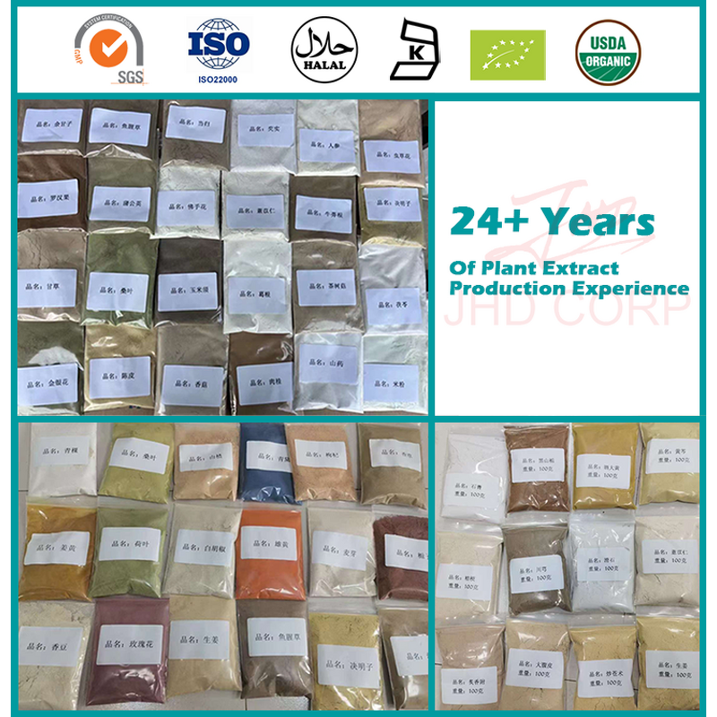 Rutin Powder - JHD CAS 153-18-4 Sophora Japonica Flower Extract 95% Pure