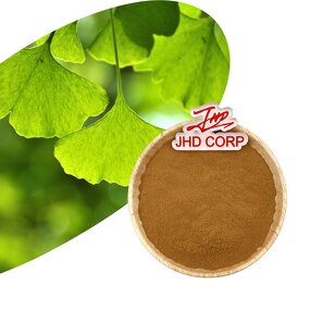 Ginkgo Biloba Extract - USA EU Wholesale 10:1 20:1 Leaf Powder Supplement