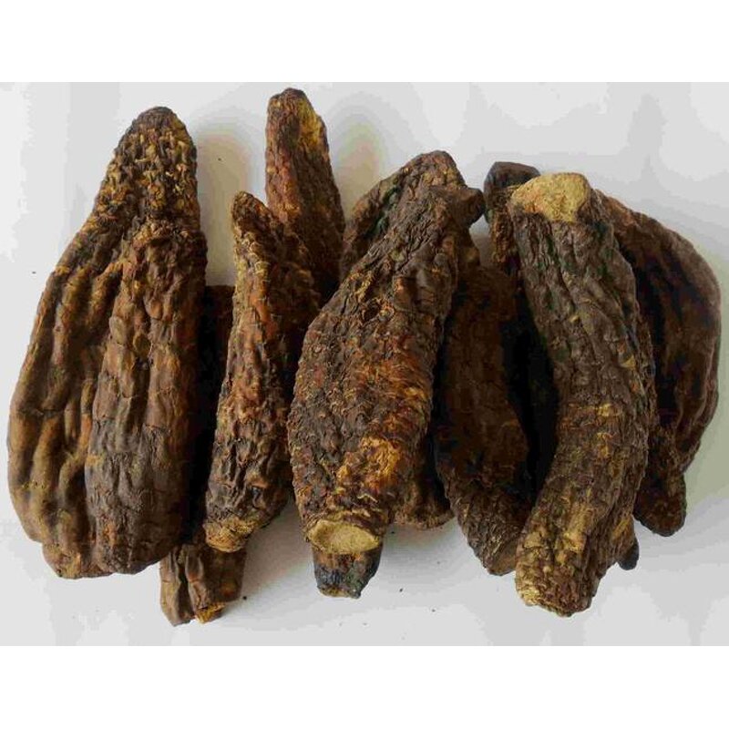 Cistanche Deserticola Extract - Factory 20:1 10:1 Tubulosa Root Powder