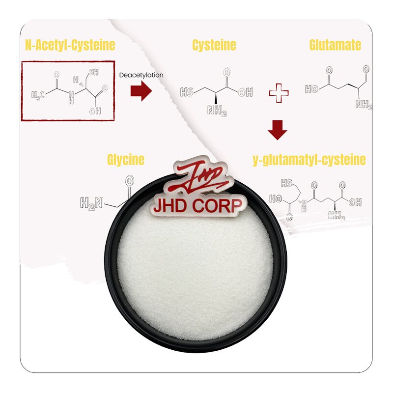 NAC Powder - USA EU N-acetyl-l-cysteine CAS 616-91-1 Food Grade Supplement