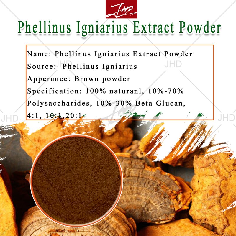 Sang Hwang Mushroom Extract - US EU 100% Natural Phellinus Linteus Powder
