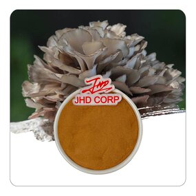 Maitake Mushroom Extract Powder - Free Sample 50% Polysaccharide Organic Drum Container