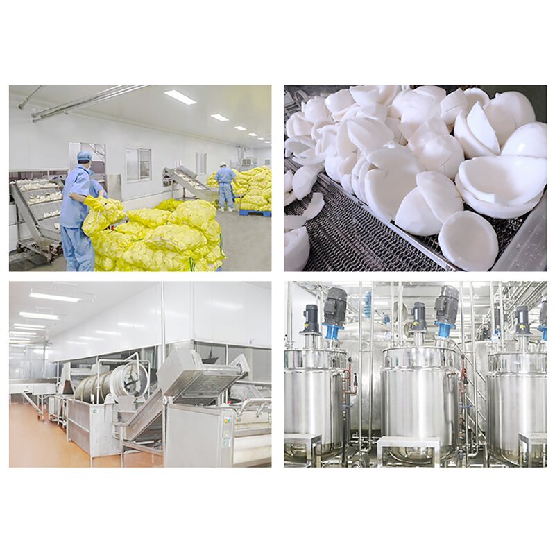 Coconut Milk Powder - USA EU Organic 100% Pure No Artificial Flavor Bulk