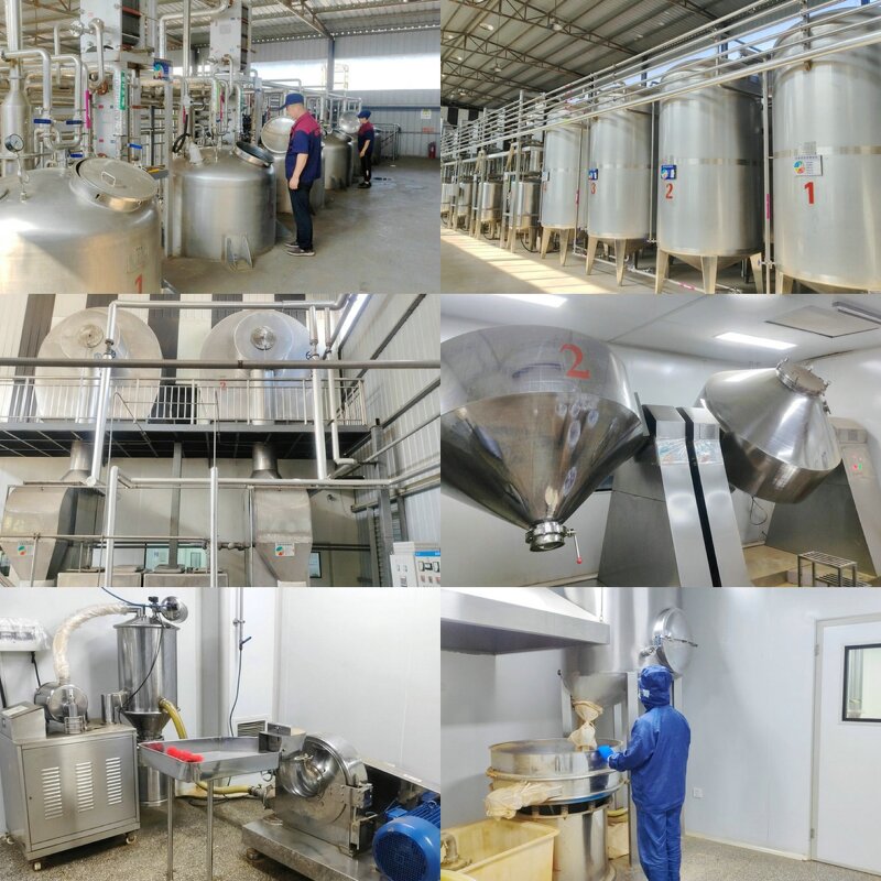 SOD Powder - Factory Synthetic Superoxide Dismutase 99% EUK-134 Supplement