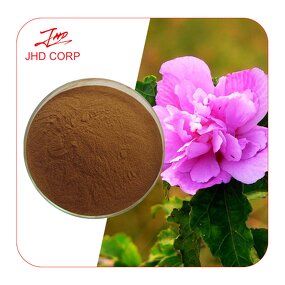 Hibiscus Flower Extract - USA EU Halal Kosher 10:1 Pure Organic Powder