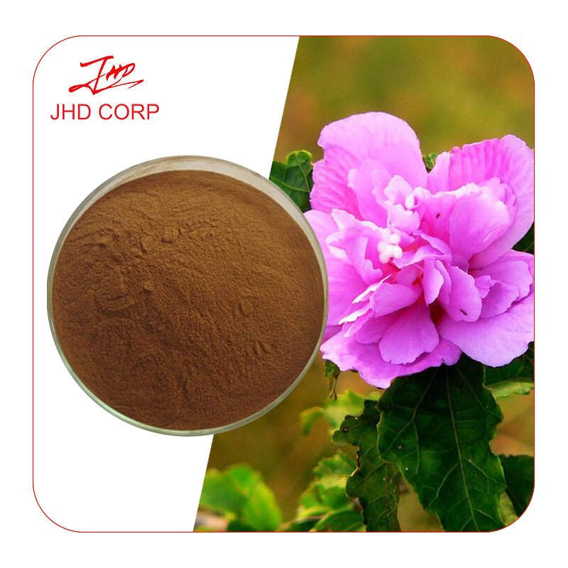 Hibiscus Flower Extract - USA EU Halal Kosher 10:1 Pure Organic Powder