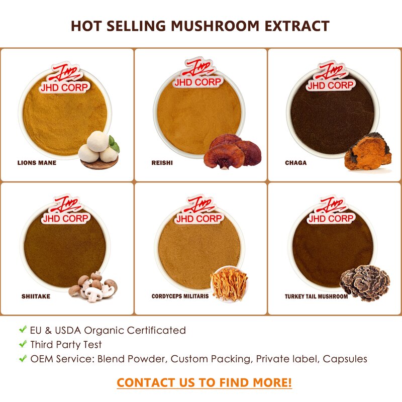 Agaricus Bisporus Extract - US EU 100% Natural White Button Mushroom Powder