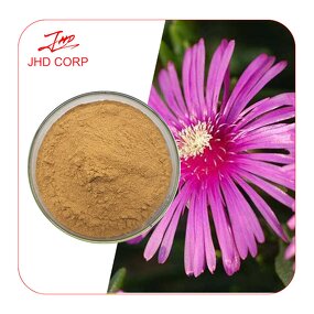 Kanna Extract Powder - USA EU 200:1 100:1 Sceletium Tortuosum Lampranthus