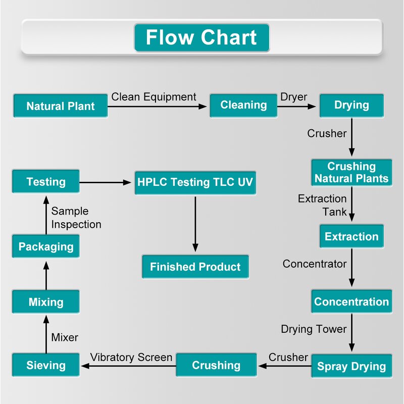 Kava Kava Extract Powder - USA/Netherland Instant Natural Kava Root Powder