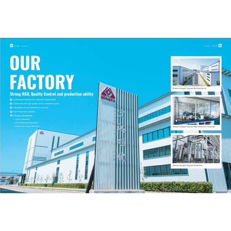 Barley Grass Juice Powder - USA EU Organic Green Superfood Bulk Supplement