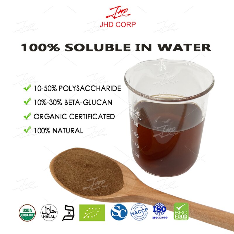 Sang Hwang Mushroom Extract - US EU 100% Natural Phellinus Linteus Powder