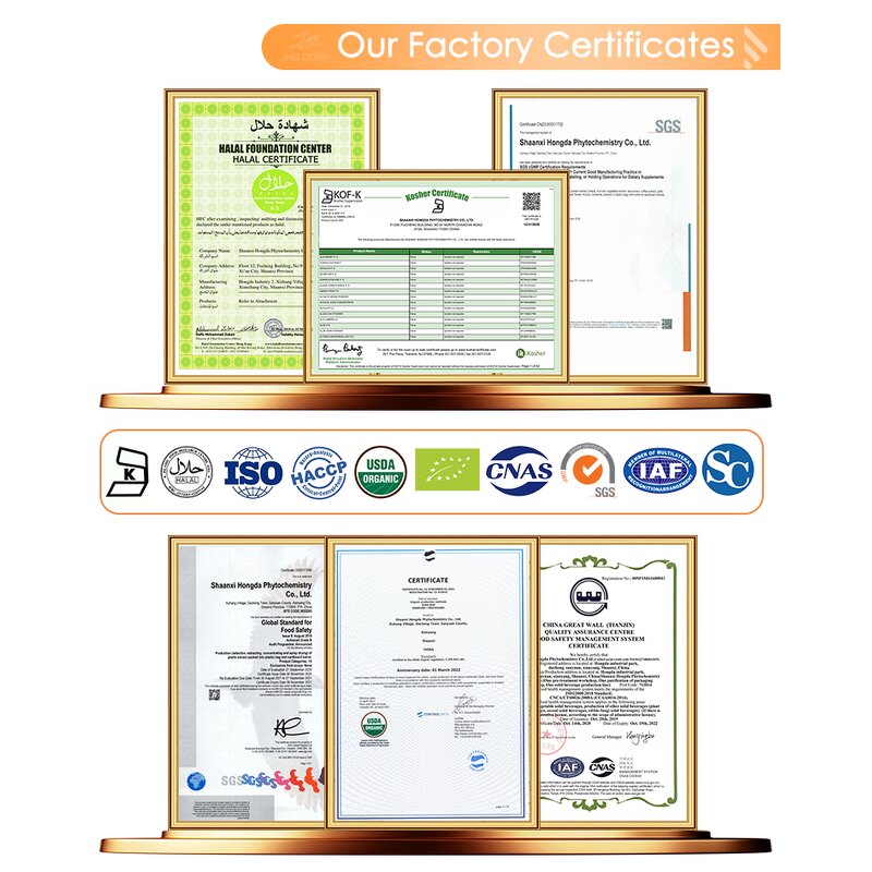 Turmeric Extract Capsules - Low MOQ 500mg 98% Curcumin Natural Supplements