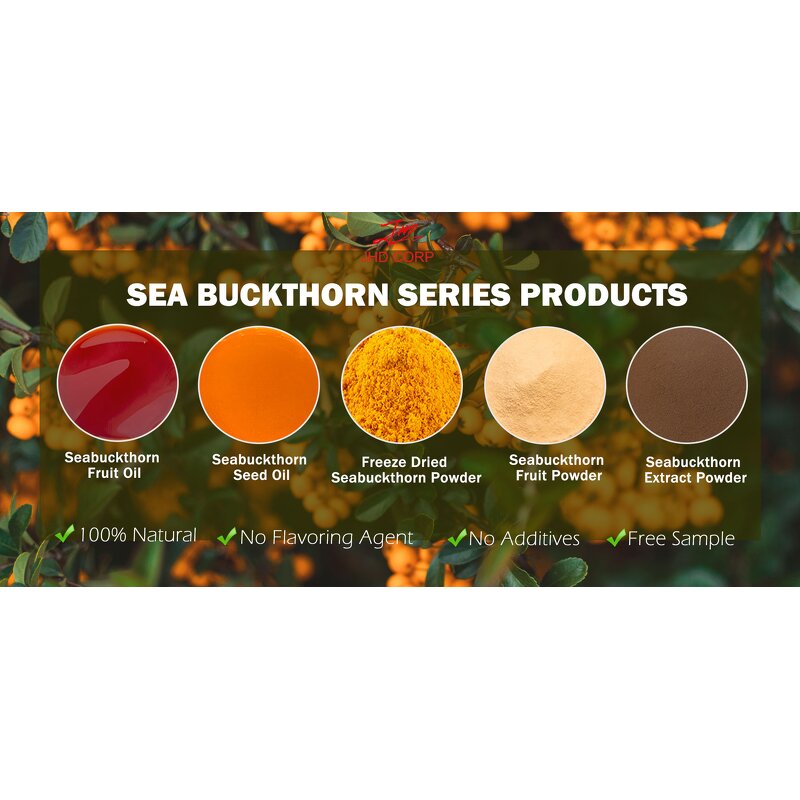Sea Buckthorn Fruit Powder - USA EU Freeze Dried Natural Superfood Bulk
