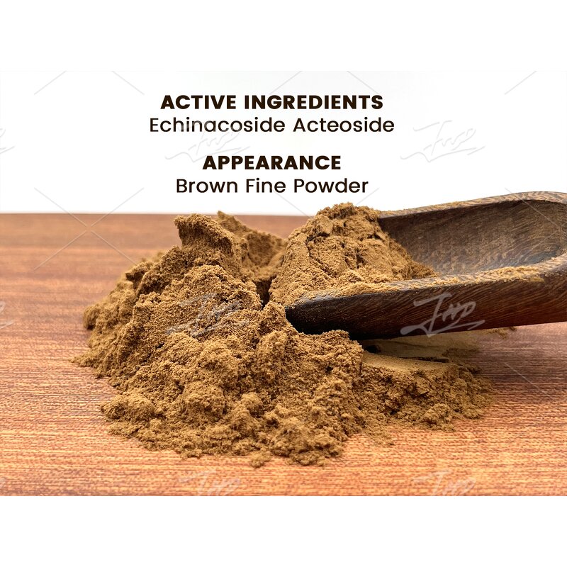 Cistanche Deserticola Extract - Factory 20:1 10:1 Tubulosa Root Powder