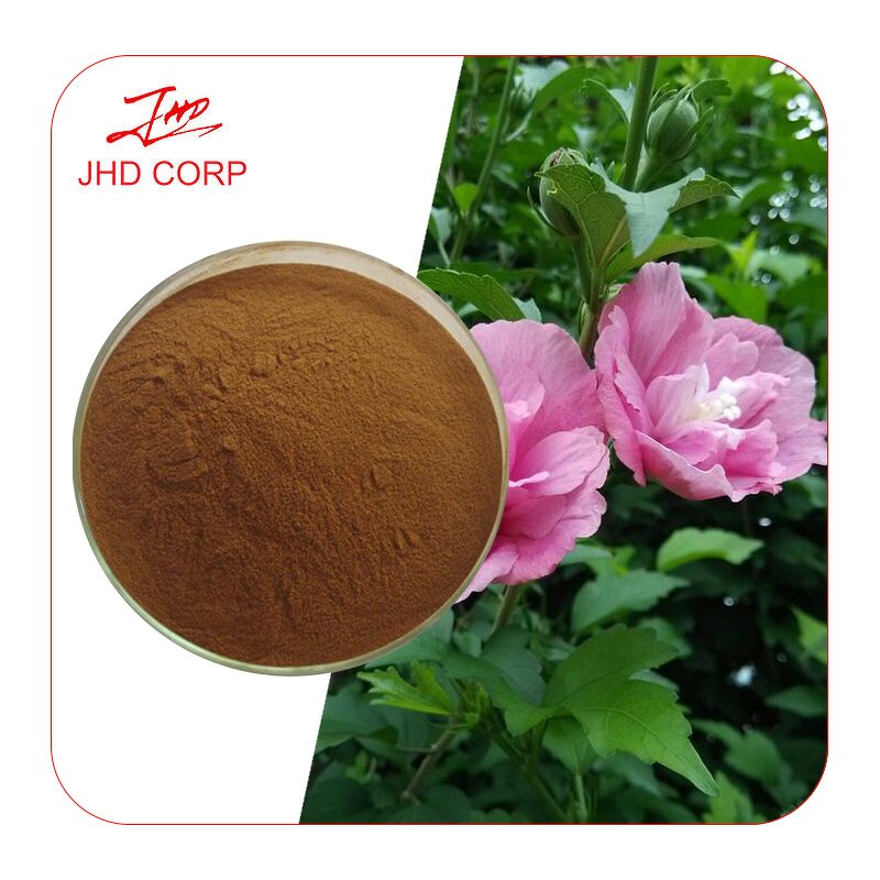 Hibiscus Flower Extract - USA EU Halal Kosher 10:1 Pure Organic Powder