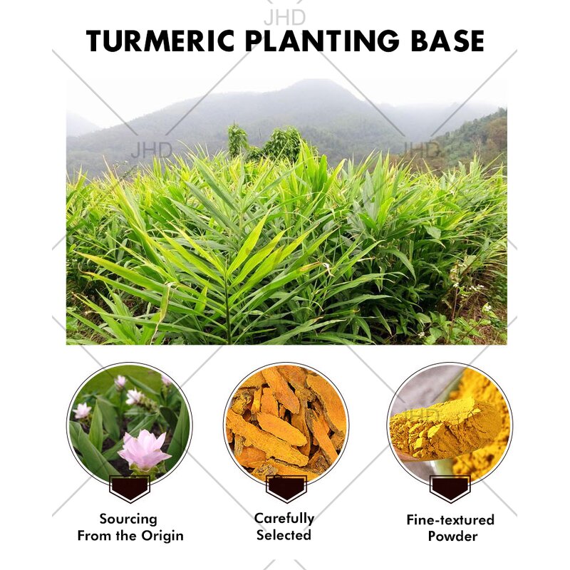 Turmeric Root Extract - USA EU Water Soluble 5%-95% Curcuminoids Organic Powder
