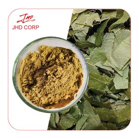 Epimedium Extract Powder - USA EU 5% 10% 20% Icariin Yin Yang Huo Herb