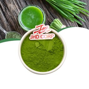 Barley Grass Juice Powder - USA EU Organic Green Superfood Bulk Supplement