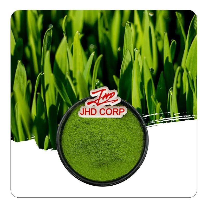 Organic Barley Grass Powder - Factory Wholesale Bulk Young Green Superfood